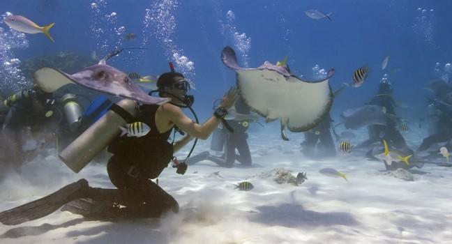 A diver underwater in Stingray City, which is located on the north side of Grand Cayman.