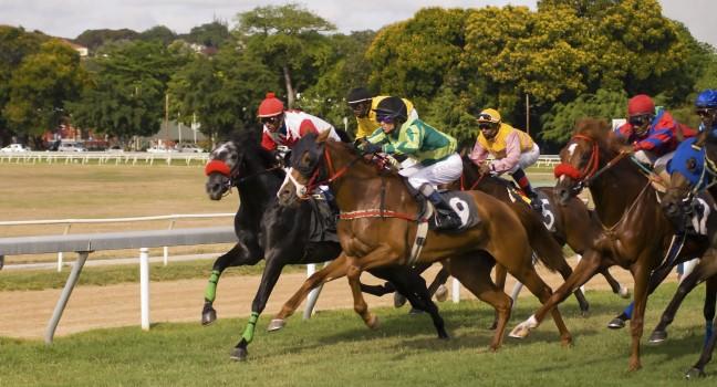 Horse races in Barbados 