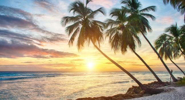 Beautiful sunset over the sea with a view at palms on the white beach on a Caribbean island of Barbados;