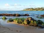 Maui beach, Napili Bay moss covered rocks, ocean view.
