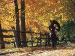 Headless Horseman, Historic Hudson Valley, Sleepy Hollow, Philipsburg Manor, NY