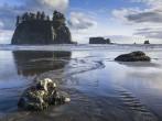 Early evening light at Second Beach in Spring; Olympic National Park, Washington coast.
