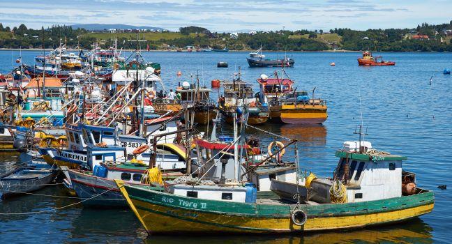 QUELLON, CHILE - JANUARY 15, 2015: Colourful fishing boats crowding the fishing port of Quellon on the island of Chiloe in Chile