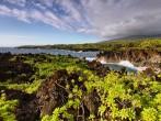 View of the coast and lush vegetation in Waianapanapa State park, Maui island, Hawaii, USA. 